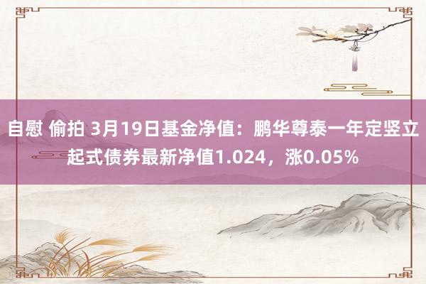 自慰 偷拍 3月19日基金净值：鹏华尊泰一年定竖立起式债券最新净值1.024，涨0.05%