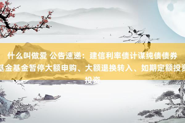 什么叫做爱 公告速递：建信利率债计谋纯债债券基金基金暂停大额申购、大额退换转入、如期定额投资