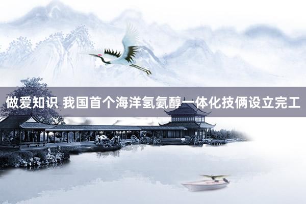 做爱知识 我国首个海洋氢氨醇一体化技俩设立完工