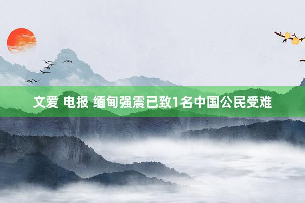文爱 电报 缅甸强震已致1名中国公民受难