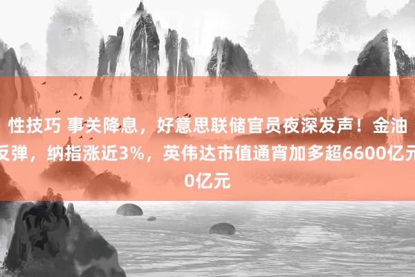 性技巧 事关降息，好意思联储官员夜深发声！金油反弹，纳指涨近3%，英伟达市值通宵加多超6600亿元